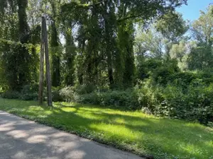 Tiszaújvárosban a Tisza szigeten építési telek eladó!