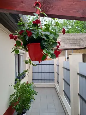 Eladó társasházi lakás Vácon a Rákóczi úton.   - kép 2