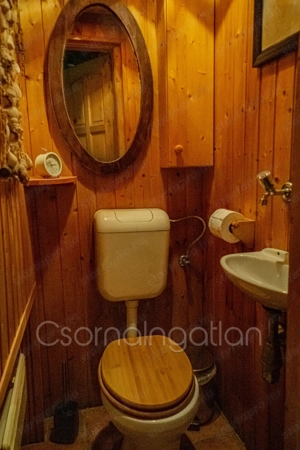 Fehértó - lótartásra alkalmas, nagy területű ingatlan eladó - kép 15