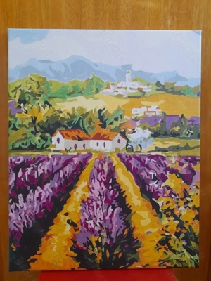 Feszített vászonra festett 40 x 50 cm festmény eladó