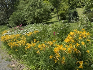 Találjunk egymásra