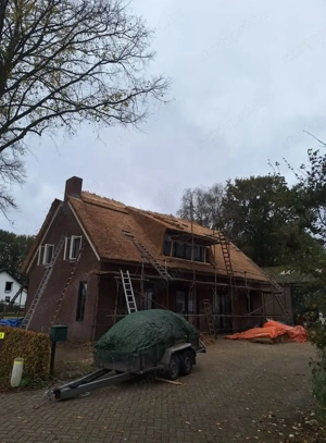 Nádtető készítés és javítás  - kép 3