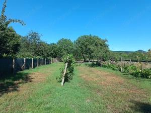 Börzsöny ölelésében, Letkés szívétől karnyújtásnyira, eladó egy igazi vidéki családi ház!   - kép 13