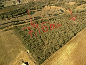 Nagyegyháza mellett csodálatos környezetben 7 hektáros Mezőgazdasági terület eladó!!  - kép 2