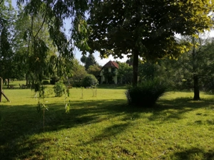 Nagyegyháza mellett csodálatos környezetben 7 hektáros Mezőgazdasági terület eladó!!  - kép 3