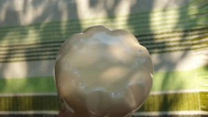 Termosz eladó, rozsdamentes, világosbarna, 0,5l - kép 5