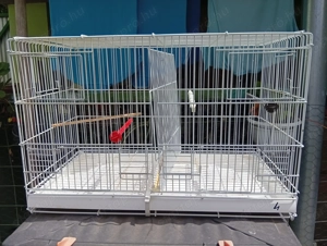 Kanári tenyész ketrecek eladók!