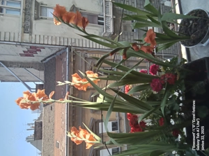 Budapesten tabu nélküli FÉRFI SEX esetleg hosszabb tartózkodással! - kép 2