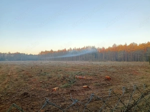  Fiatalabb lányt, fiút keresek, barátkozás céljából.