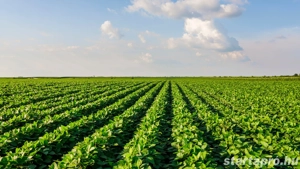 Mezőgazdasági munka - kép 2