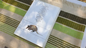 Dél-Amerika c. könyv eladó, 1974 - kép 6