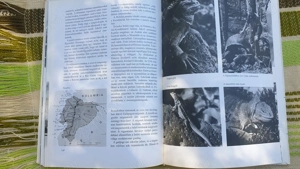 Dél-Amerika c. könyv eladó, 1974 - kép 14