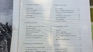 Forradalom és szabadságharc 1848-49 c. könyv eladó - kép 8