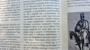 Forradalom és szabadságharc 1848-49 c. könyv eladó - kép 11