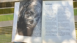 Magyarország c. könyv eladó, 1975 - kép 7