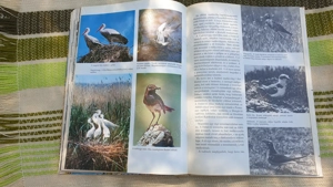 Magyarország c. könyv eladó, 1975 - kép 15