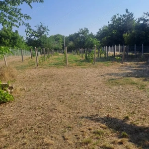 Monor Strázsa hegyen, 3147 m2-es zártkerti telek fúrt kúttal, villannyal - kép 4