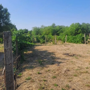 Monor Strázsa hegyen, 3147 m2-es zártkerti telek fúrt kúttal, villannyal - kép 5