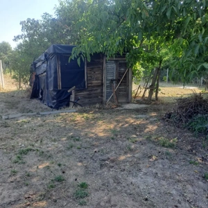 Monor Strázsa hegyen, 3147 m2-es zártkerti telek fúrt kúttal, villannyal - kép 7