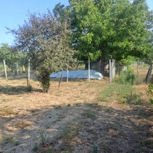 Monor Strázsa hegyen, 3147 m2-es zártkerti telek fúrt kúttal, villannyal - kép 6