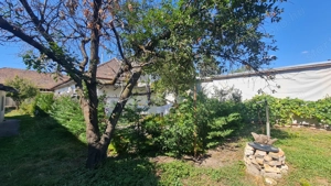 Kertvárosi nyugalom saját kerttel - kép 7