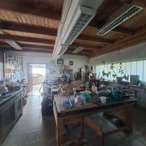  Monor központjától nem messze egyedi kialakítású, 160 m2 családi ház, 700 m2 botanikus kerttel - kép 8