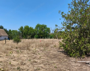 Kiskunhalas Alsótelepen hobbikert kis házzal eladó! - kép 6