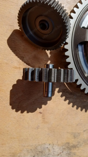 Honda SW-T swt 400 - 600 szabadonfutó - kép 5