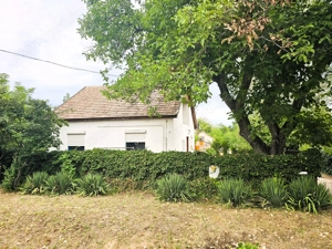 Tompa, 2 generációs családi ház eladó! - kép 16