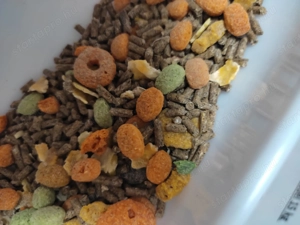 Rágcsálóeledel, kisállatfelszerelés Kaposvár