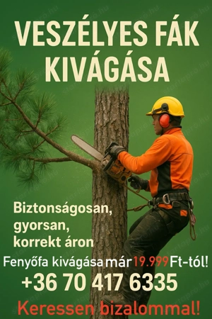 Fák kivágása megbízhatóan!