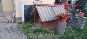 Kutyaól ingyen elvihető - kép 3