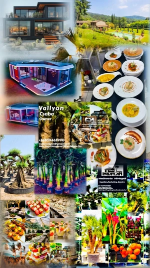 Az Ön álomélete egyetlen kézből - kép 2