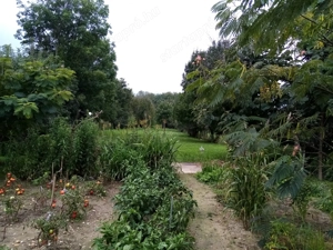 Gyönyörű helyen Veszprém megyeben Bakonyságon eladó tégla építésű jó állapotú családi ház tulajtól.. - kép 5