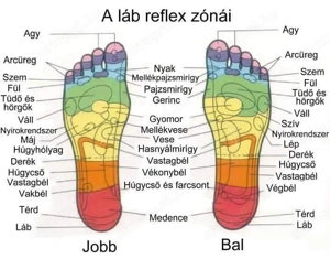 Masszázs-Szeged -Rókus  - kép 4