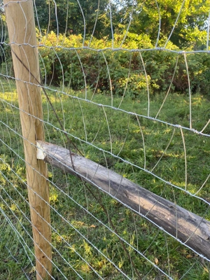 Drótfonat, vadháló,trapézháló,oszlop - kép 2