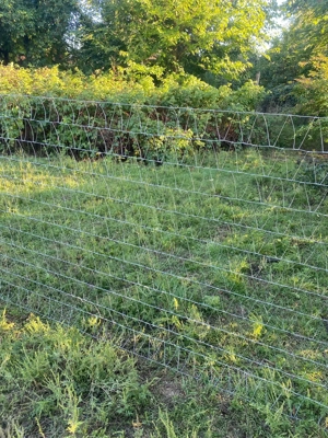 Drótfonat, vadháló,trapézháló,oszlop - kép 3