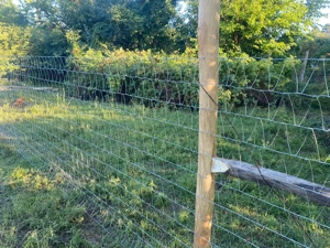 Drótfonat, vadháló,trapézháló,oszlop - kép 4