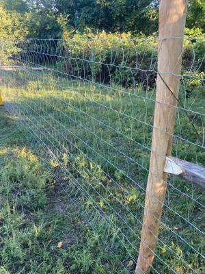 Drótfonat, vadháló,trapézháló,oszlop - kép 5