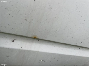 Ford Transit jobbos első ajtó kis hibával kizárólag telefonon érdeklődjön - kép 2