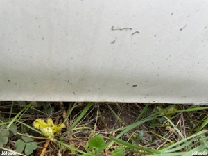 Ford Transit jobbos első ajtó kis hibával kizárólag telefonon érdeklődjön - kép 3