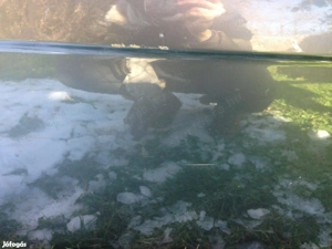 Bmw E65 jobbos első ajtó egy kis hibával szerkezettel együtt kizárólag telefonon érdeklődjön - kép 6