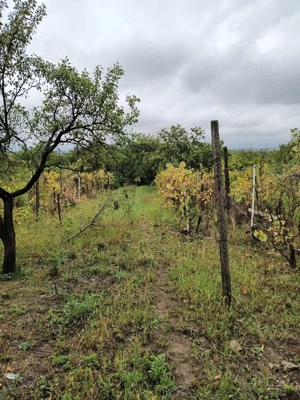 Eladó telek Biatorbágy Ürgehegy  - kép 14