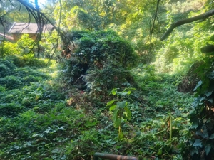 Rómaifürdőn gyönyörű építési telek eladó! - kép 2