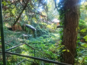 Rómaifürdőn gyönyörű építési telek eladó! - kép 4