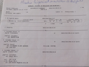 Eladó Vecsésen jelenleg mezőgazdasági terület de ipari kereskedelmi területnek szánt szántó - kép 3