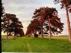 97.510 m2-es Telek, föld  - Keszthely - kép 15