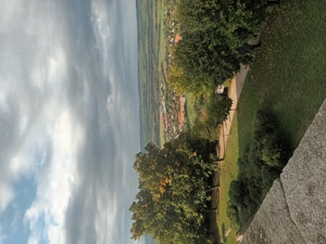 Takarítás, bejárói feladatok, lomtalanítás, kertrendezés, tapasztalattal