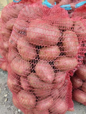 Eladó Eszme étkezési burgonya