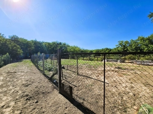Bács-Kiskun megye - Kelebia   ipari telephely, műhely eladó! - kép 12